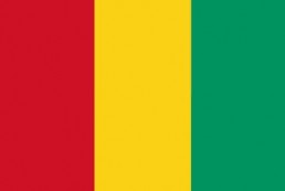 几内亚 - 电子货物跟踪单(Guinea - CTN)